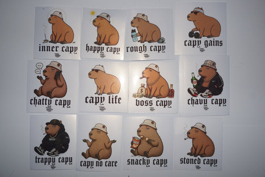 STEN STIX 003 - Capy Pack