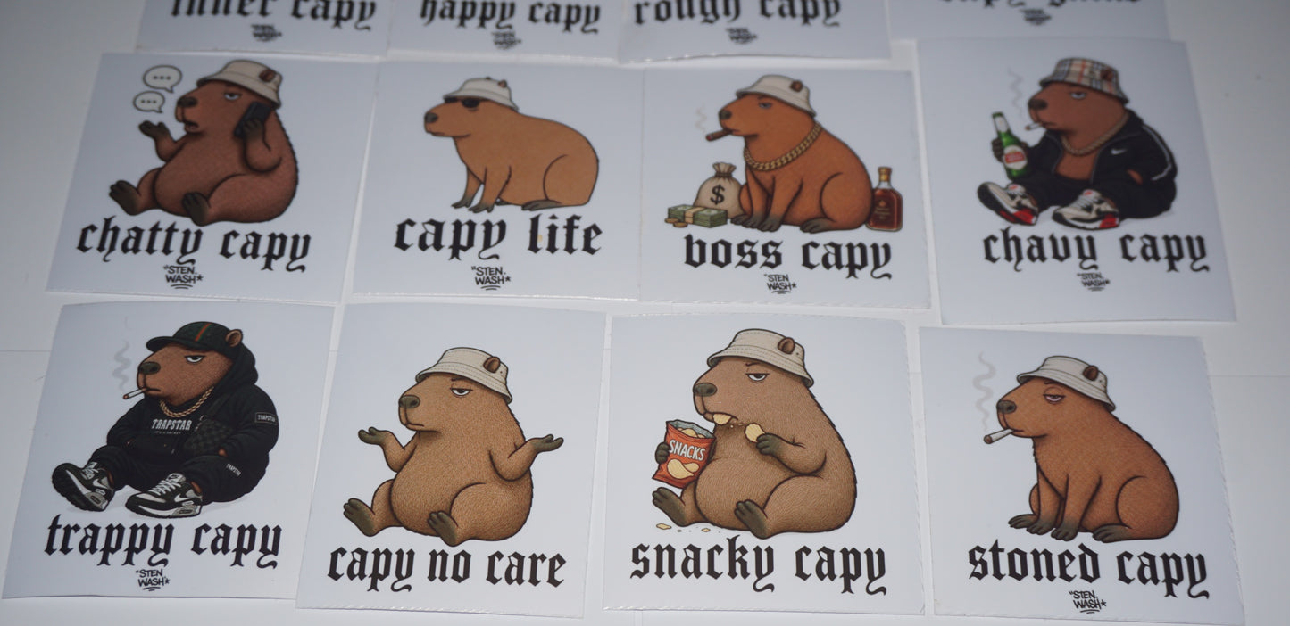 STEN STIX 003 - Capy Pack